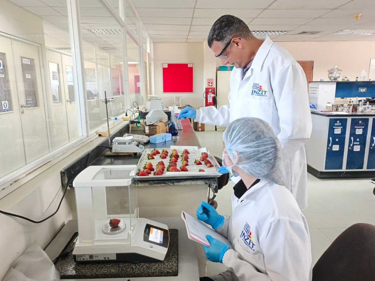 Inzit realiza ensayos preliminares con recubrimiento de quitosano en fresas