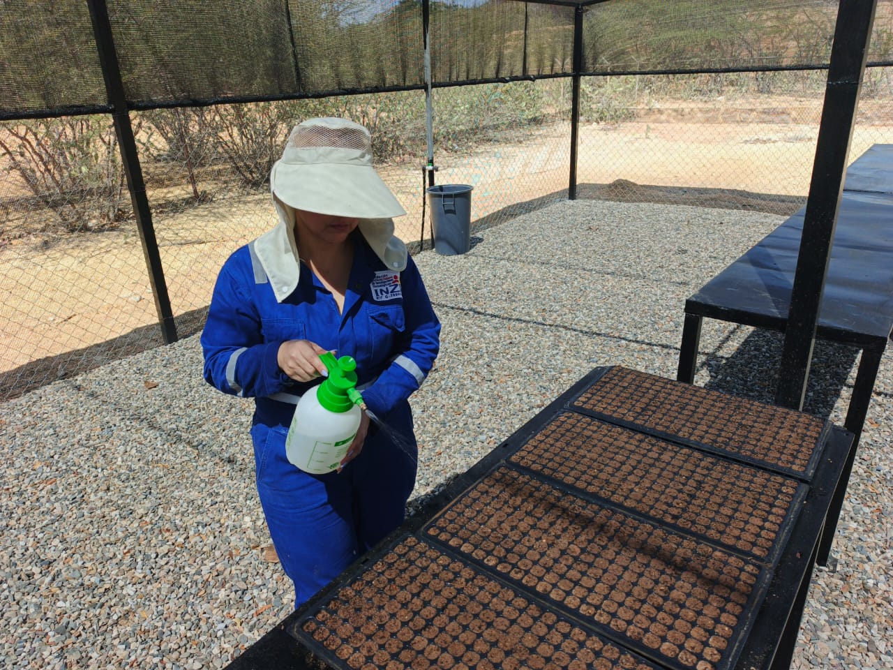 Inzit inicia pruebas de siembra diseñadas para evaluar viabilidad y rendimiento de cultivos