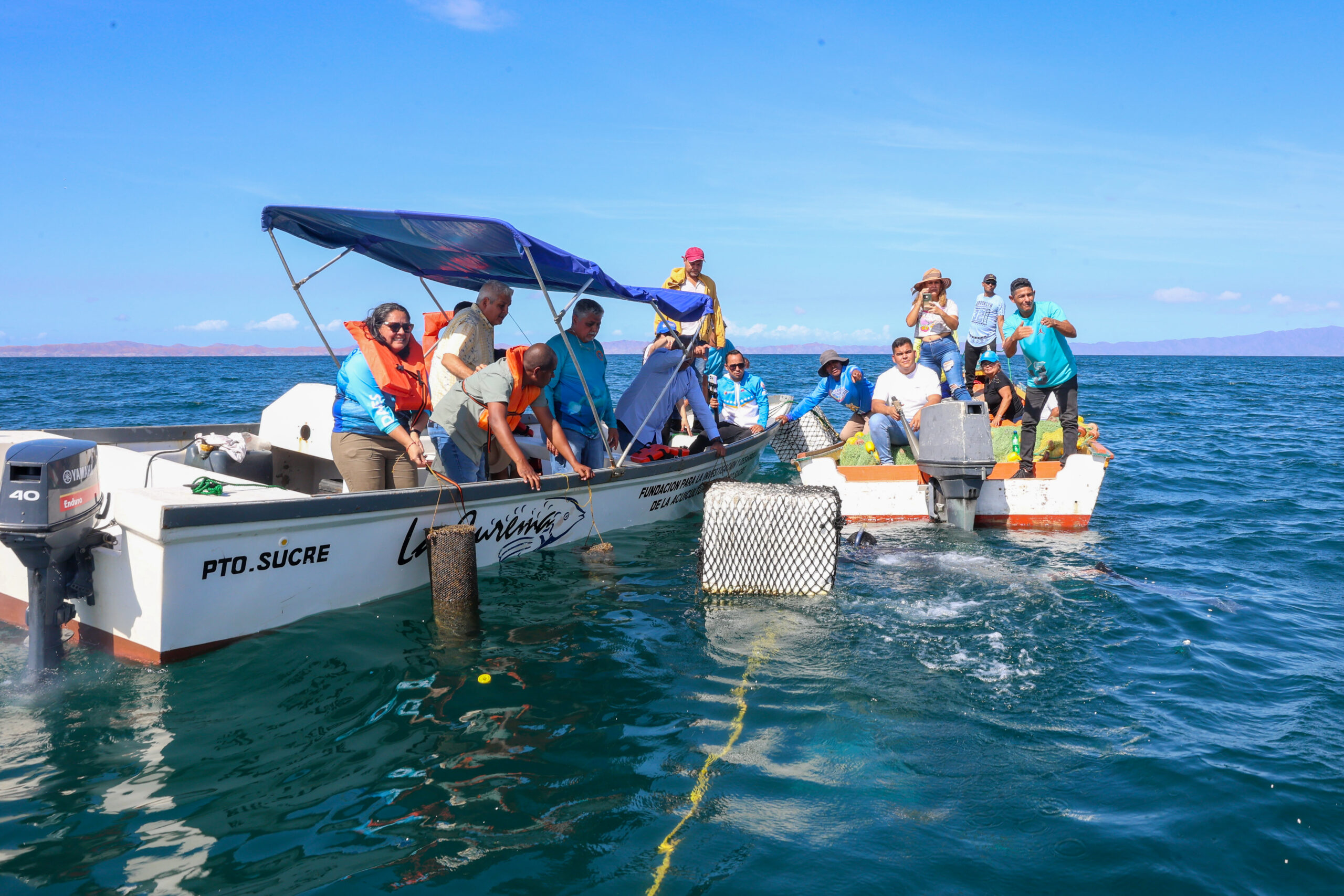 Gobierno Bolivariano fortalece producción sostenible de semillas de mejillón en Sucre