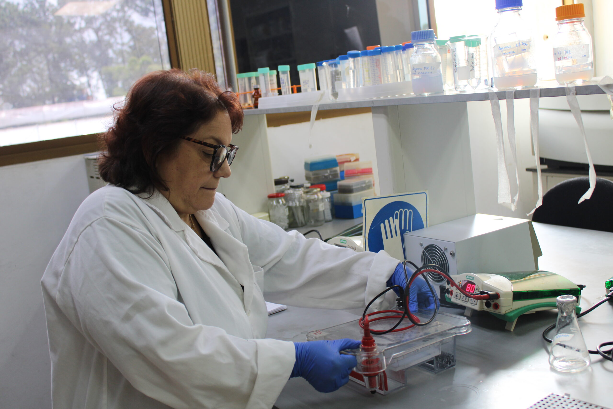 Científicos del IDEA estudian ADN de plantas y microorganismos en laboratorio de Biología Molecular