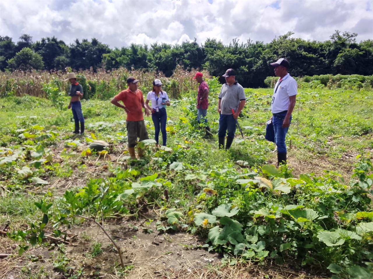 Fundación Ciepe ofrece asistencia técnica a productores de Yaracuy