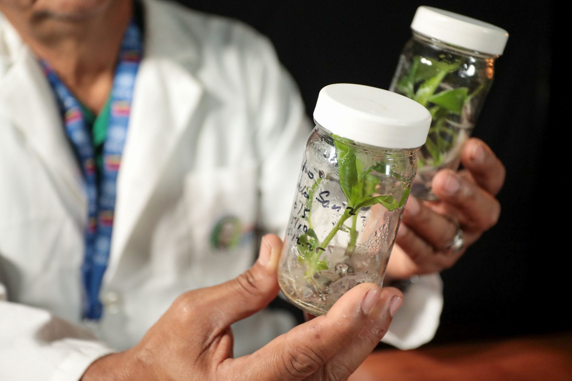 Venezuela impulsa innovaciones biotecnológicas para cultivo de tejidos vegetales