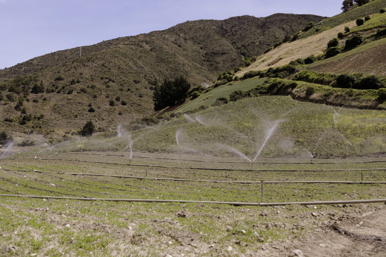 Revolución tecnológica llega al campo con sistema de riego inteligente en La Guaira
