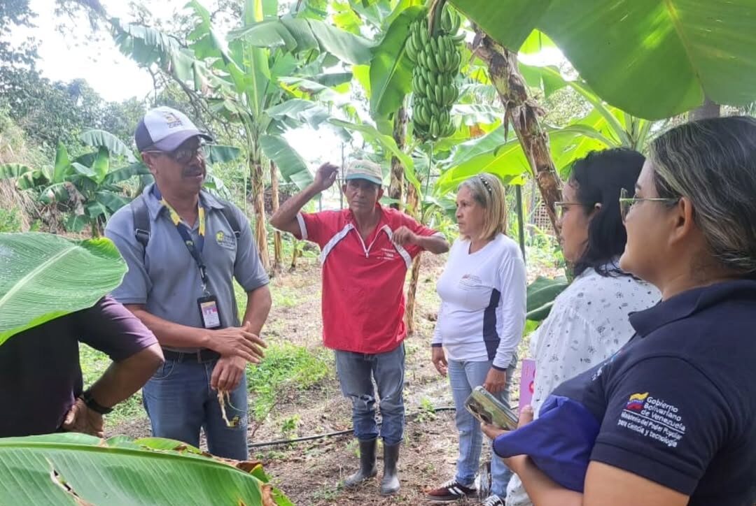 Yaracuy | Comunidad Don Juancho transforma sus espacios en Unidad de Producción Hortícola de la mano del Ciepe