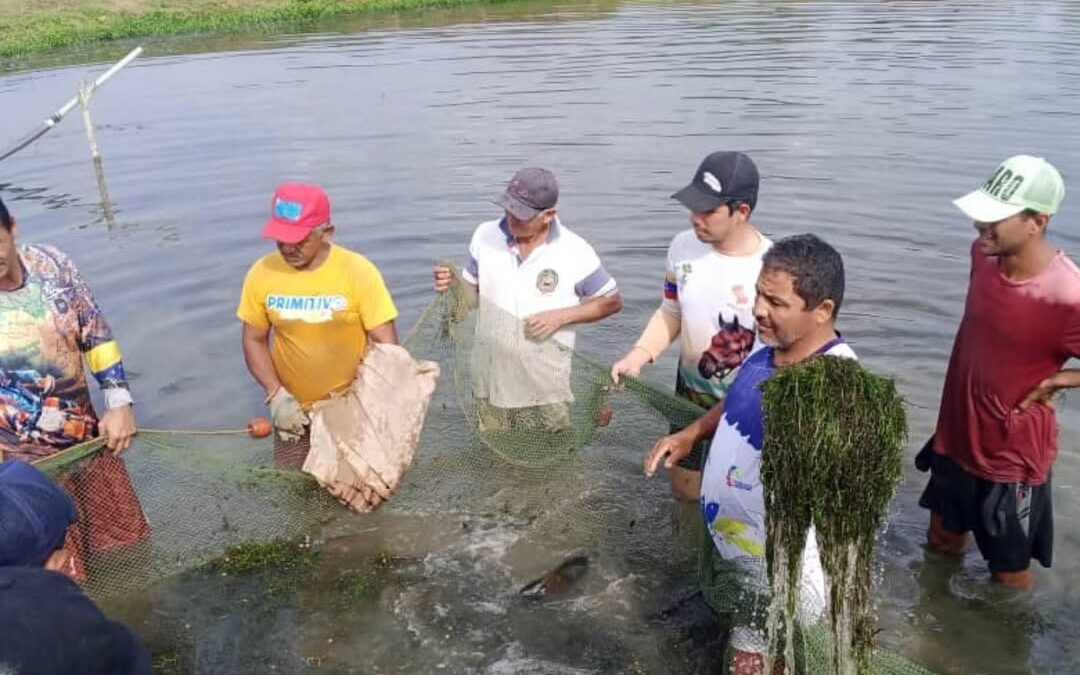 Fundación Ciepe fortalece producción piscícola en Portuguesa