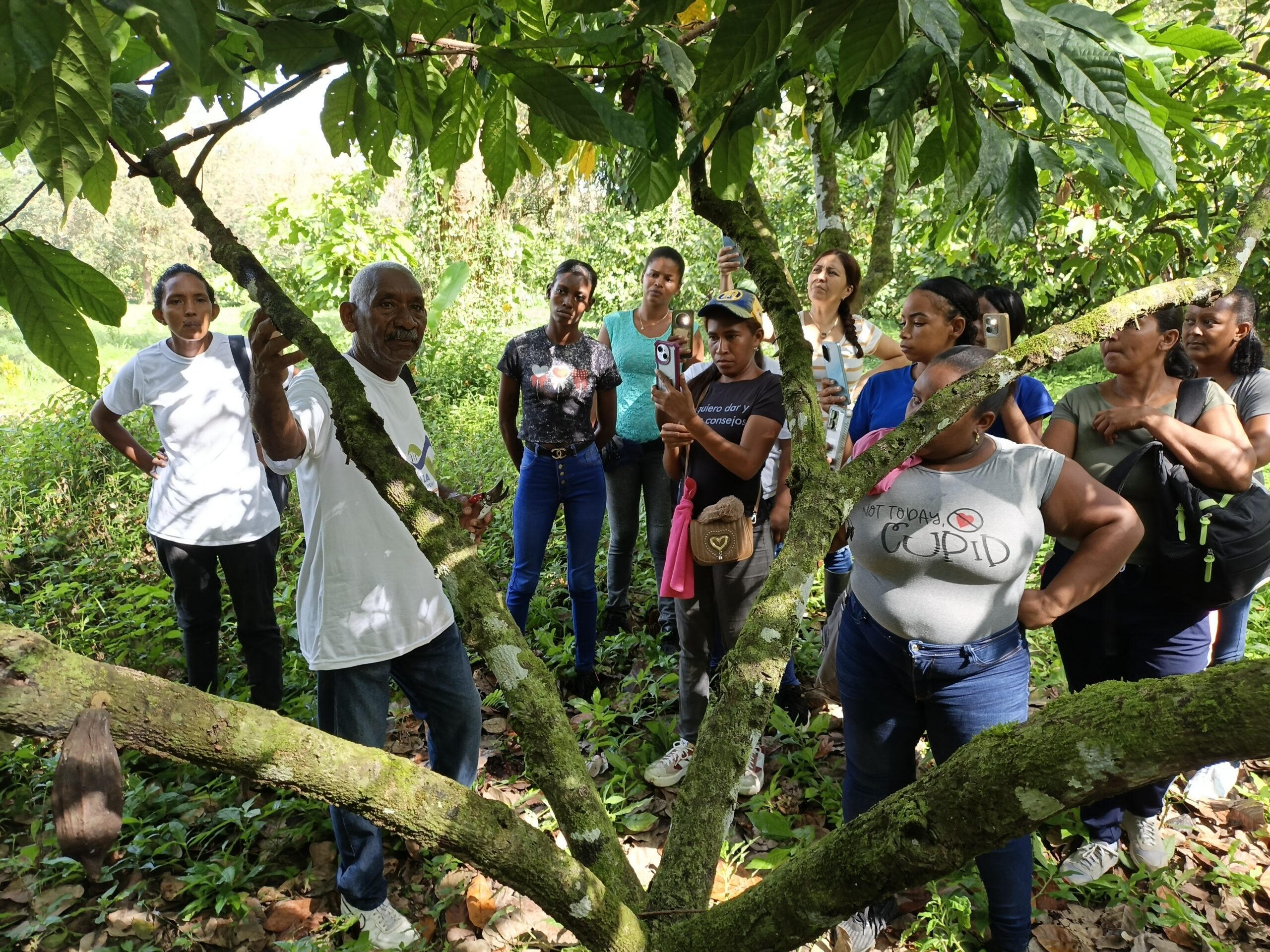 Mujeres de Tapipa fortalecen soberanía productiva bajo técnicas de injertación de cacao