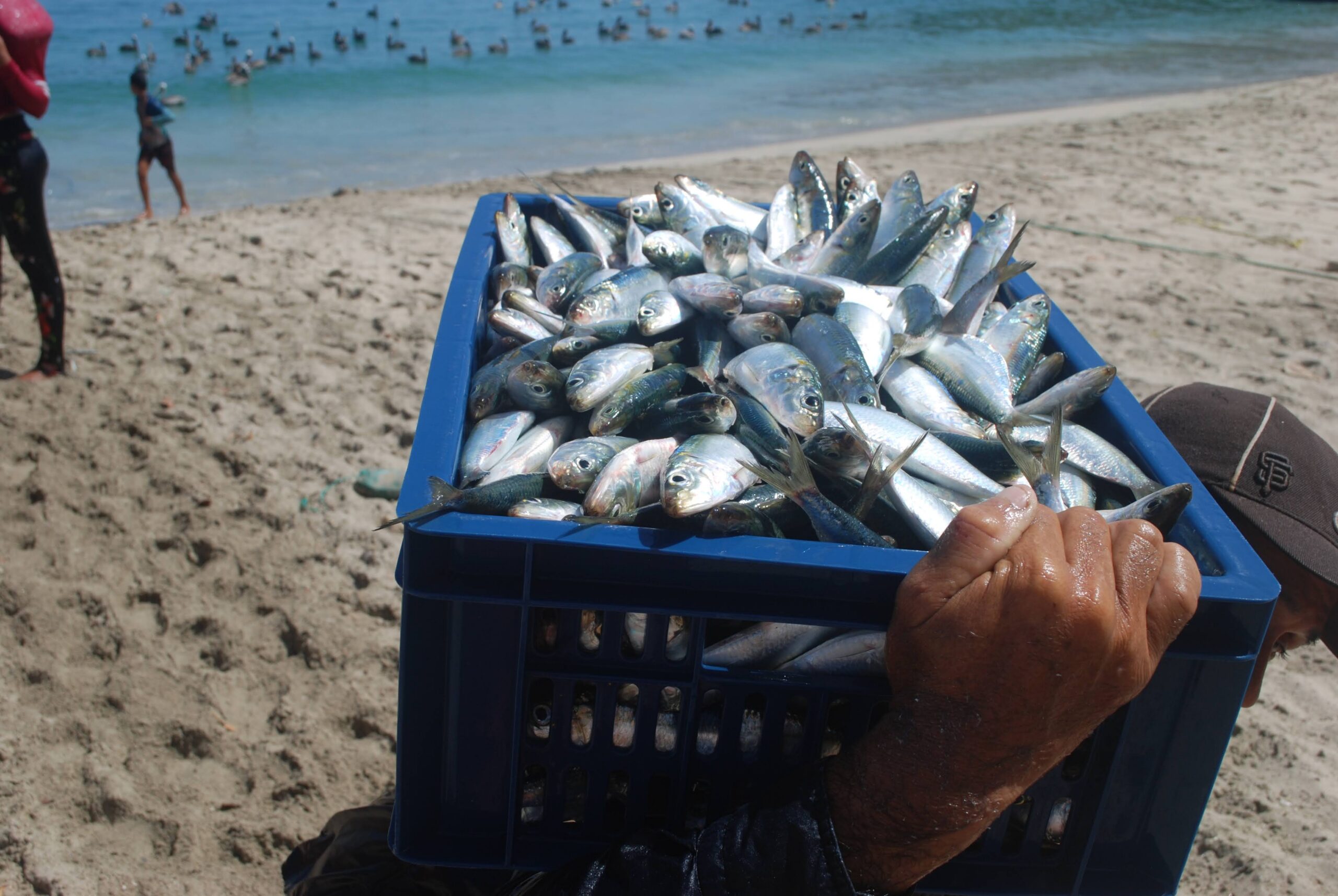 Pesca artesanal: la base invisible de nuestra mesa