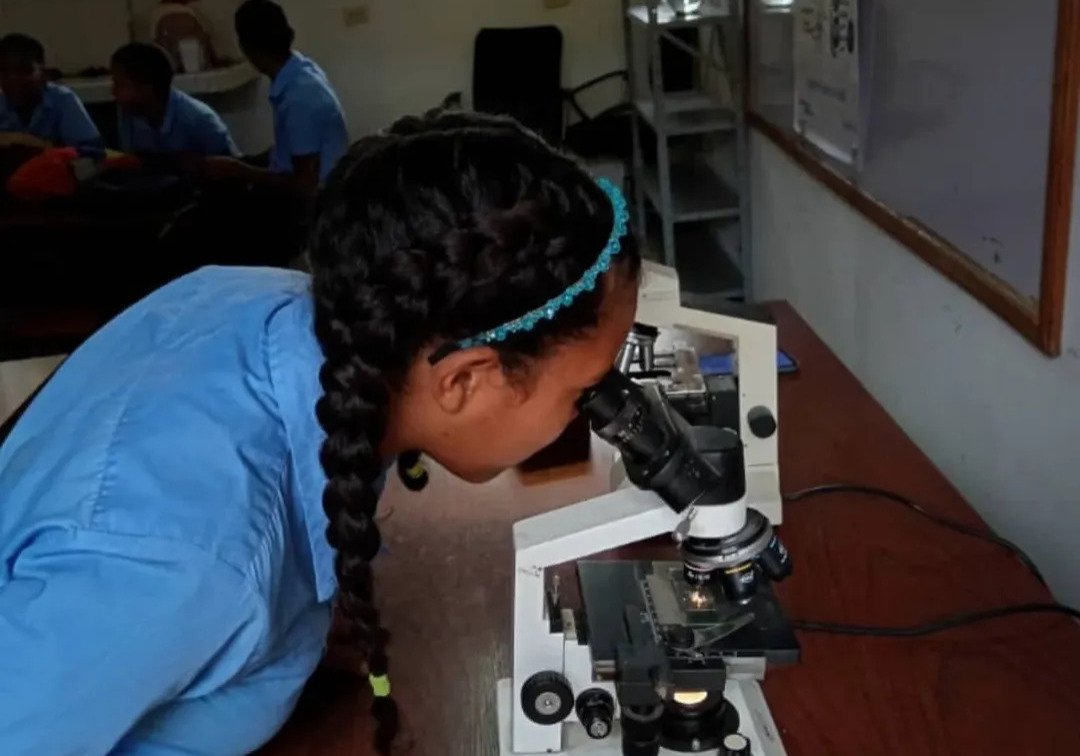 Programa Nacional Semilleros Científicos promueve vocaciones tempranas en más de 160 estudiantes de Sucre