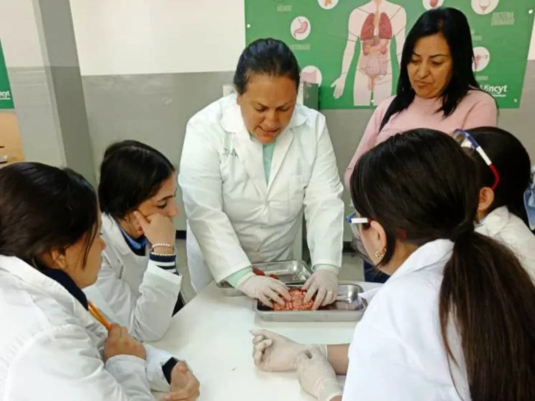 Semilleros Científicos se despliegan en cinco estados del país para fortalecer relevo tecnológico