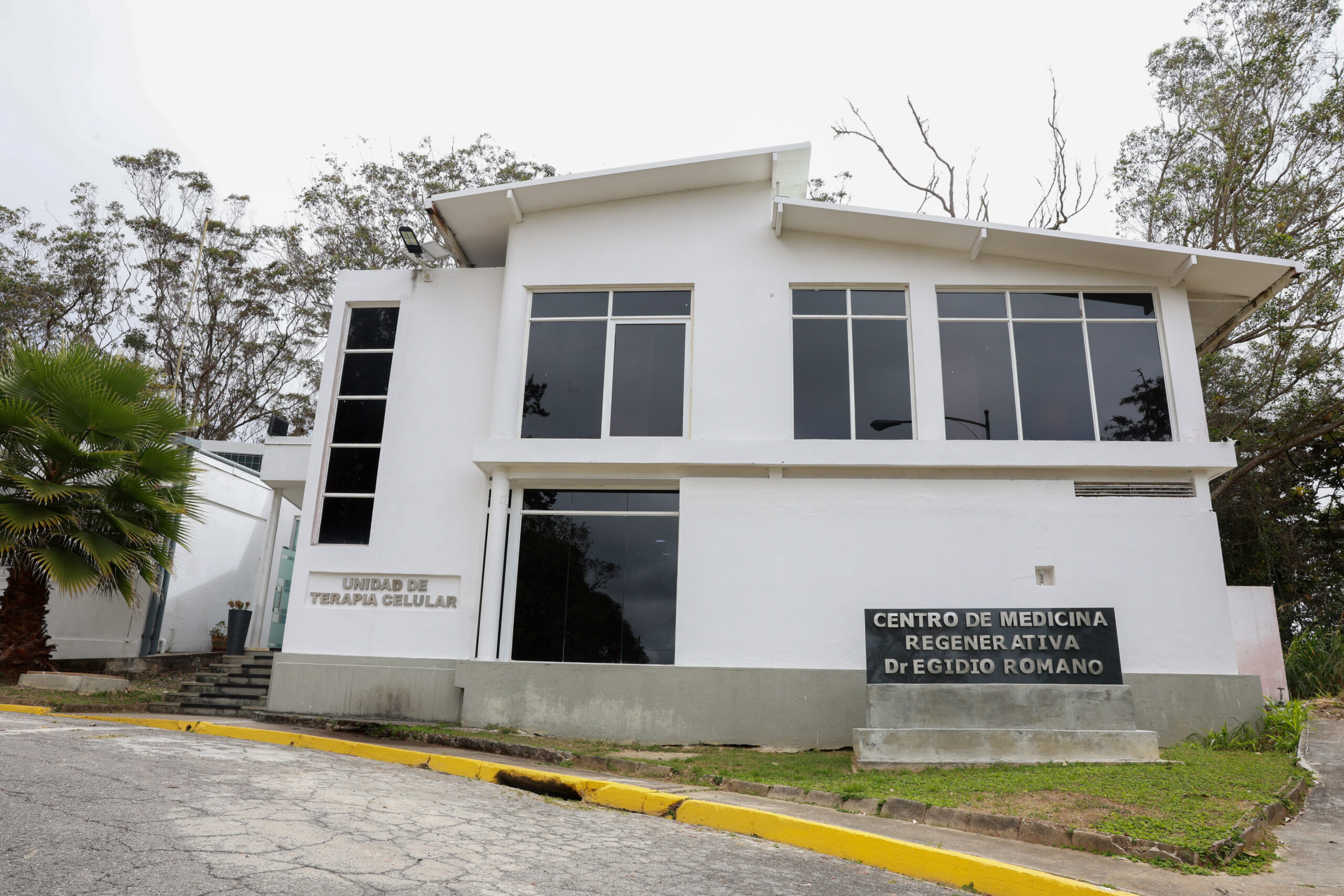La Unidad de Terapia Celular del IVIC cumple 16 años transformando vidas con células madre