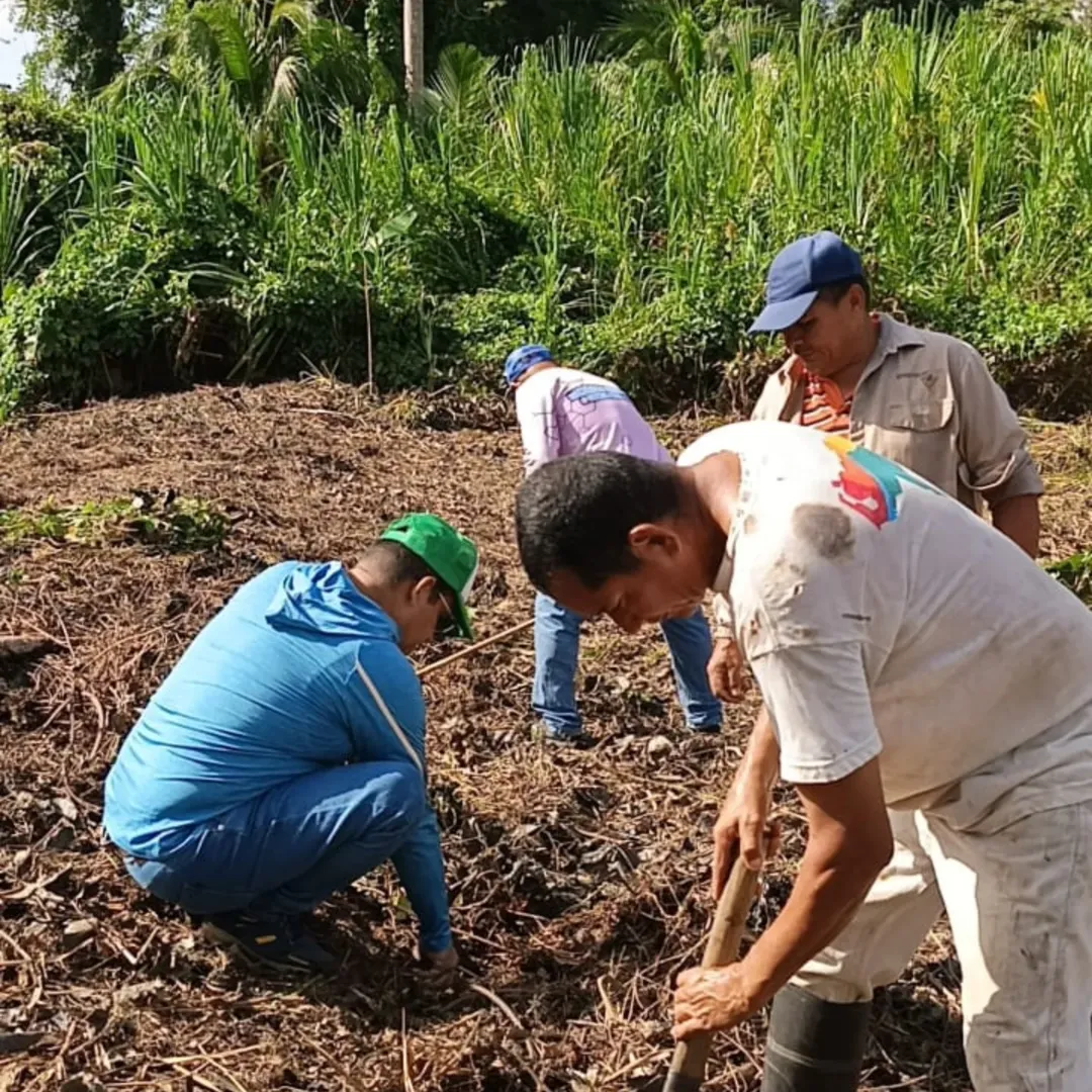 Delta Amacuro | Promueven agricultura sostenible en Centro Poblado