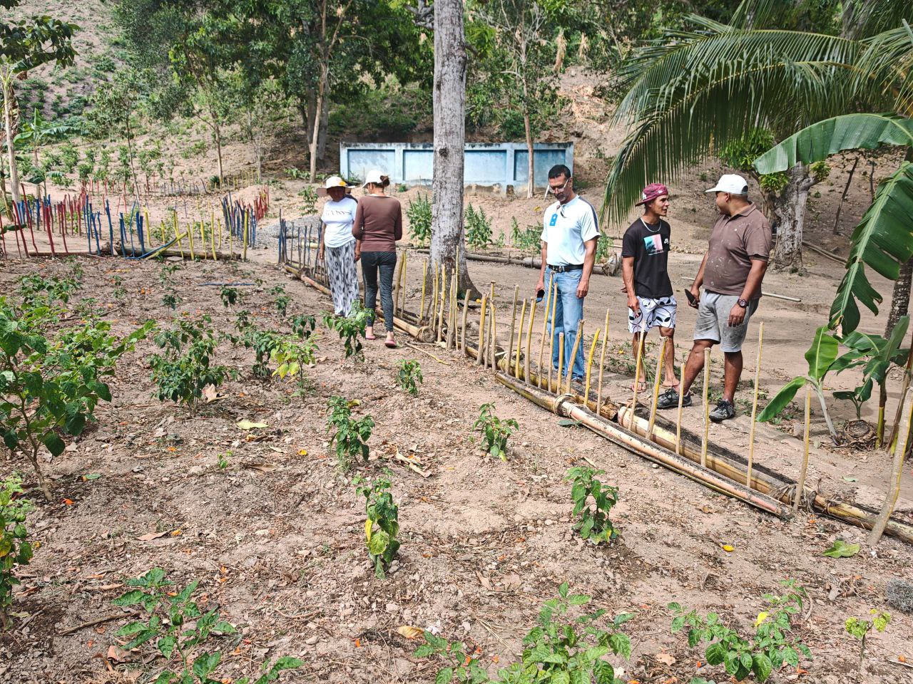 Sucre | Alianza Científico-Campesina fortalece soberanía agrícola en los municipios Bermúdez y Arismendi