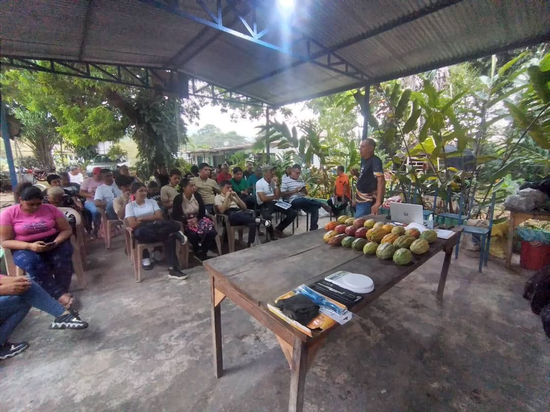 Barinas | Mincyt fortalece capacidades científicas de productores para el mejoramiento genético del cacao