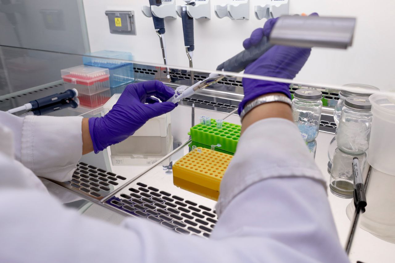 IVIC y Fundación IDEA debatirán avances de Genética Humana y Biología Molecular en jornada científica del MinCyT