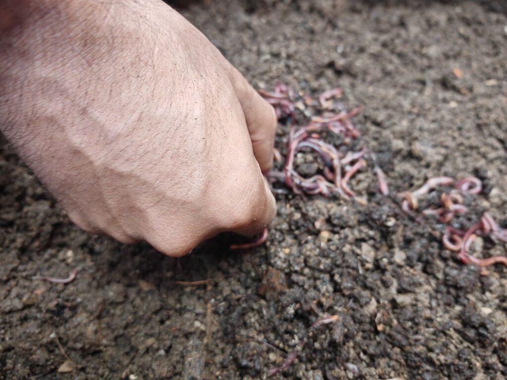 Alianza Científico Campesina Sucre