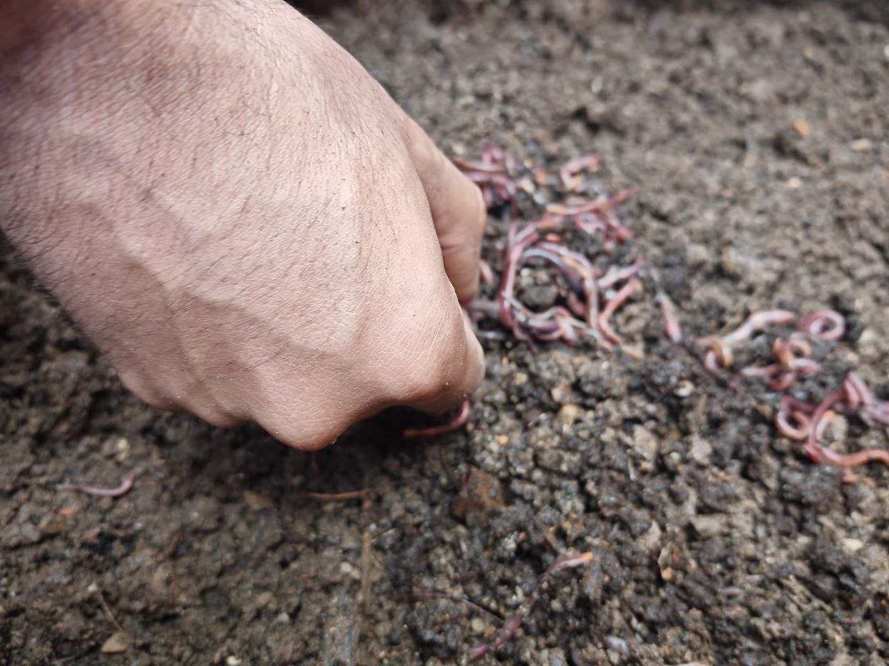 Alianza Científico-Campesina capacita a productores de Sucre sobre abonos orgánicos