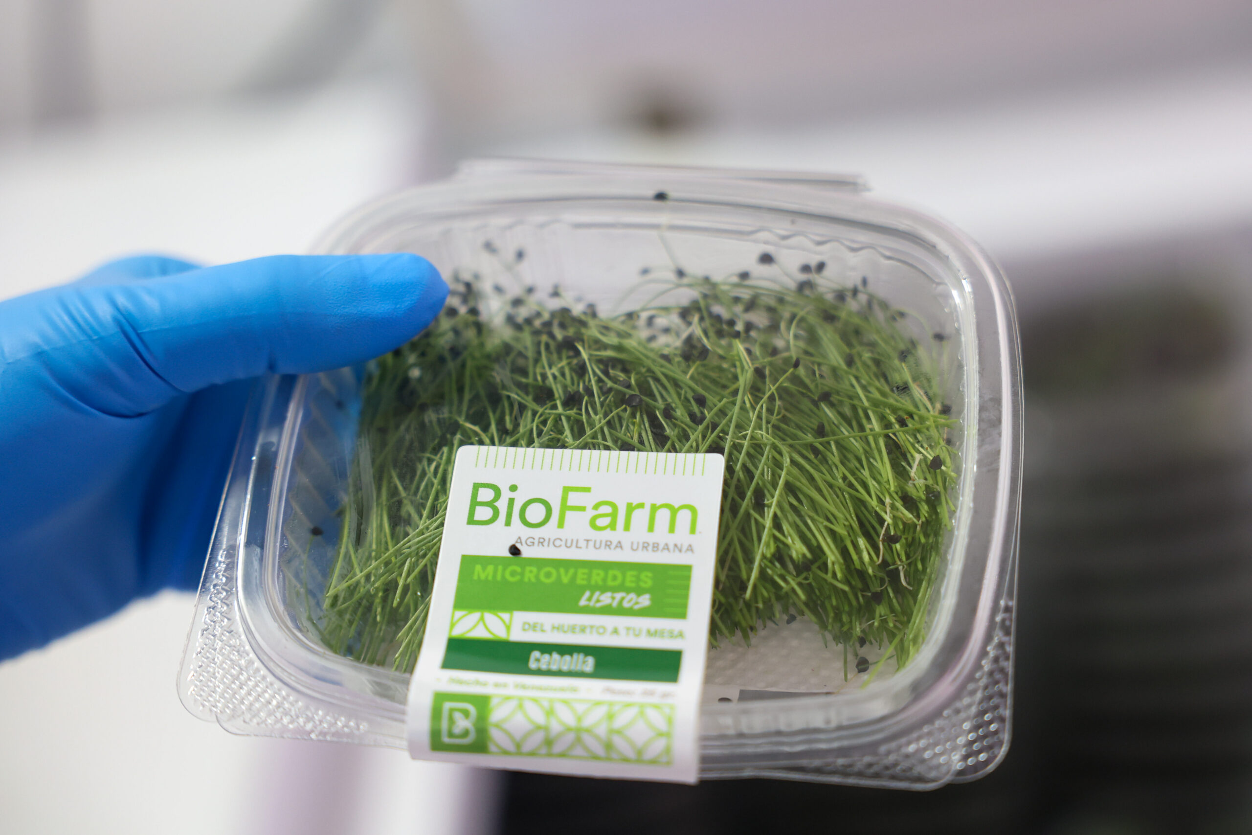 Venezuela revoluciona la soberanía alimentaria con agricultura urbana inteligente