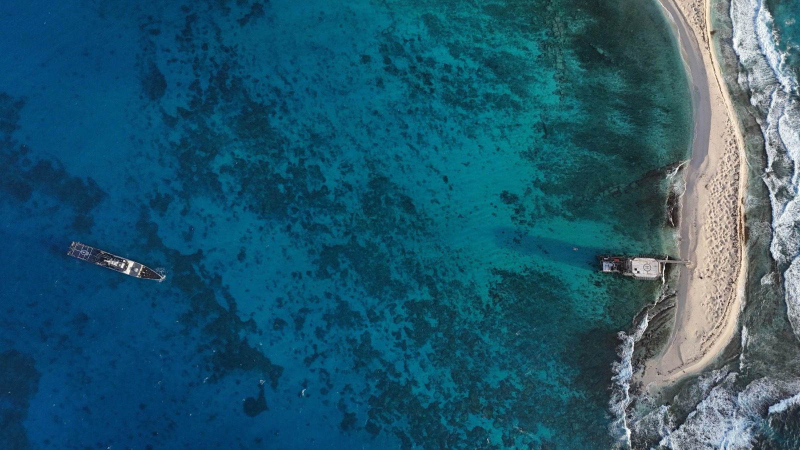 Inicia IV Jornada de Investigación Científica para el resguardo de la biodiversidad marina nacional
