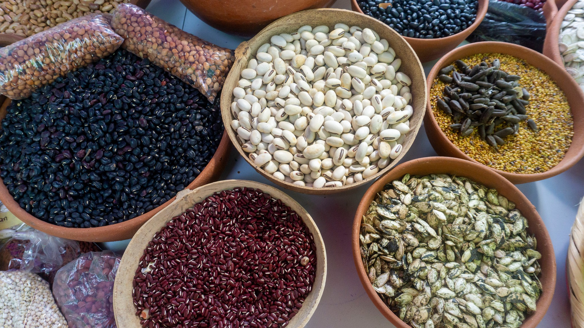 Alianza Científico-Campesina impulsa soberanía alimentaria con dotación de semillas en Bolívar