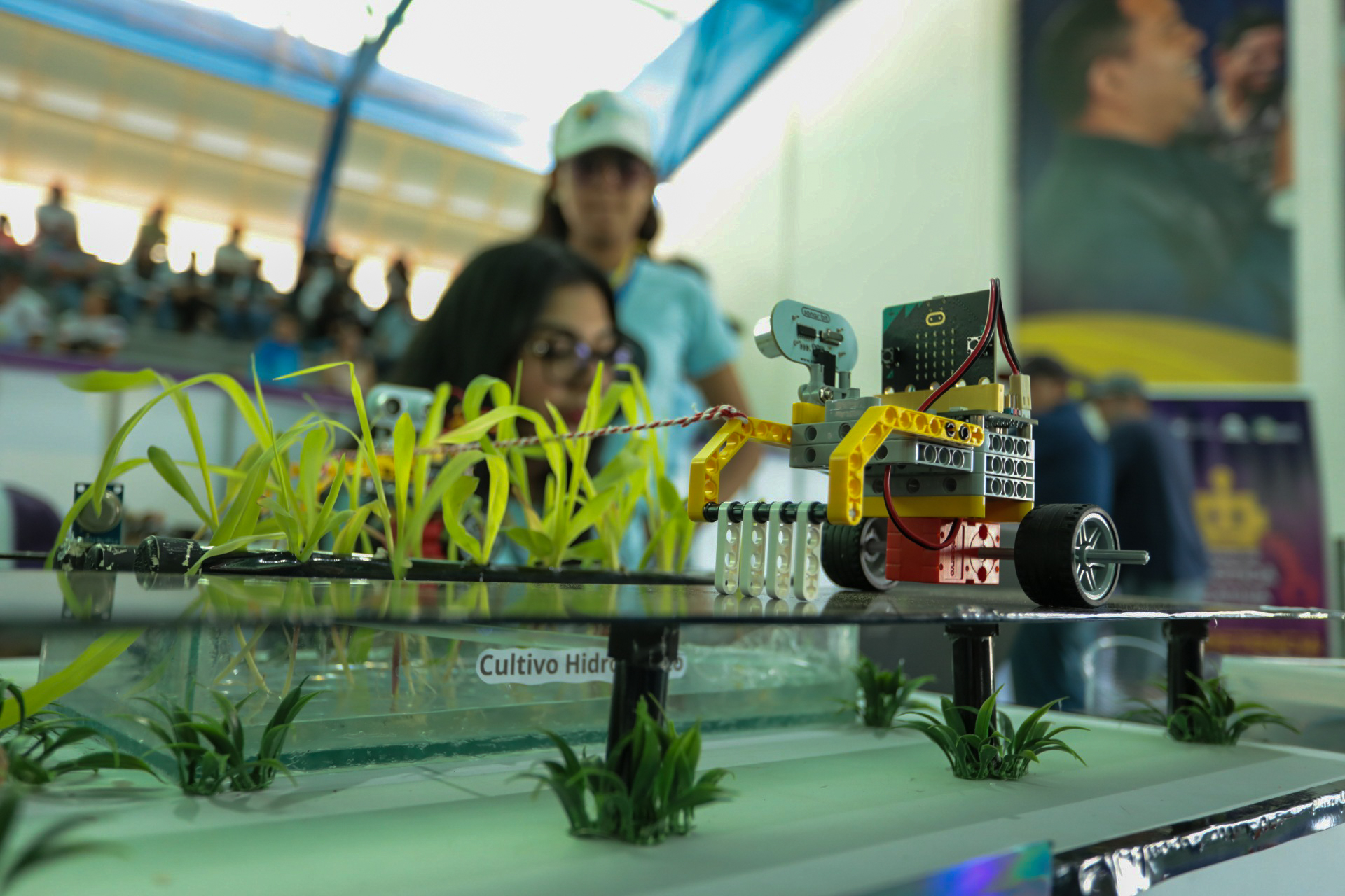 Falcón reúne a más de 320 jóvenes en las Olimpiadas de Robótica Creativa 2026