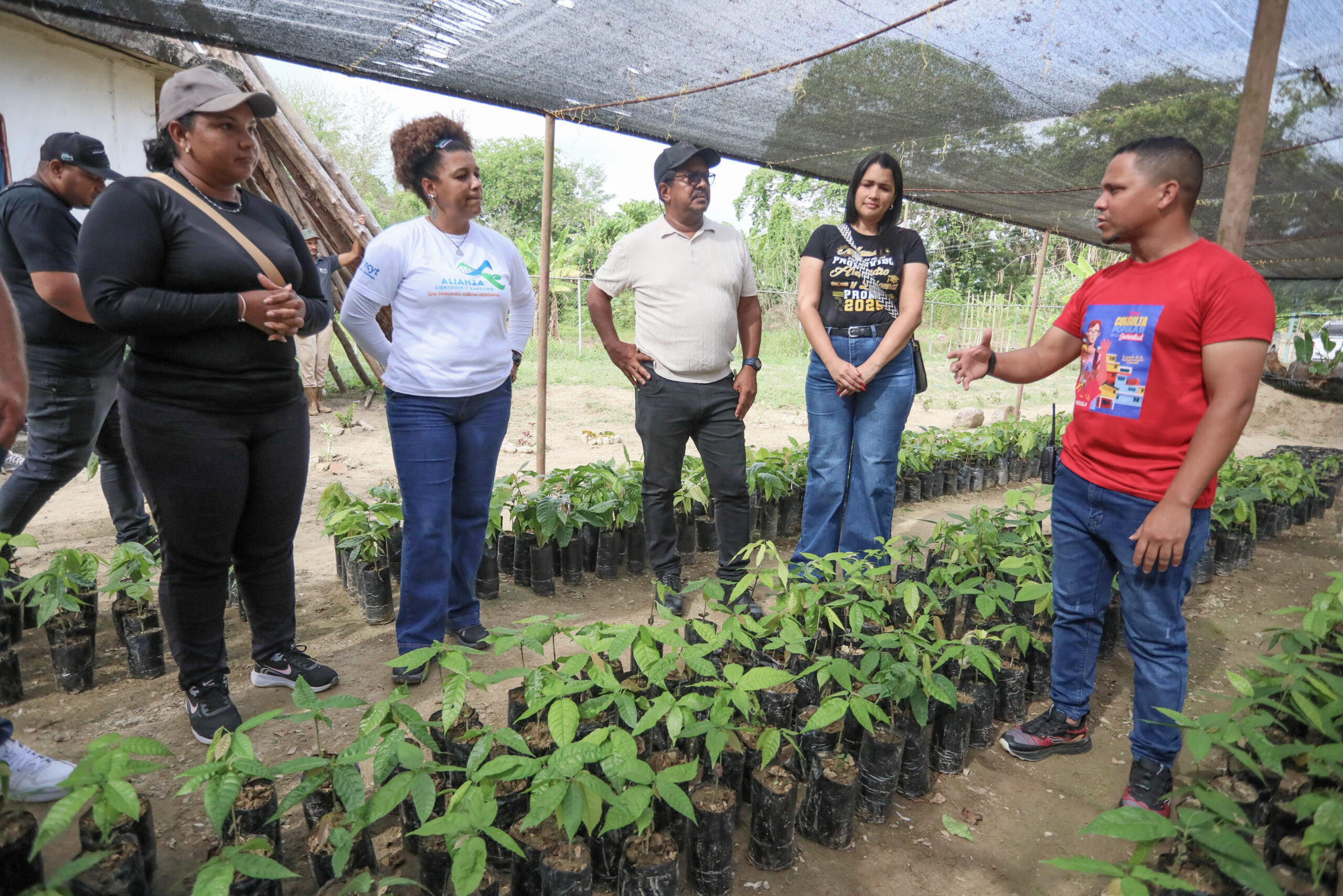 Red Científica Tecnológica de Innovación del Cacao fortalece capacidades productivas y genéticas en Sucre