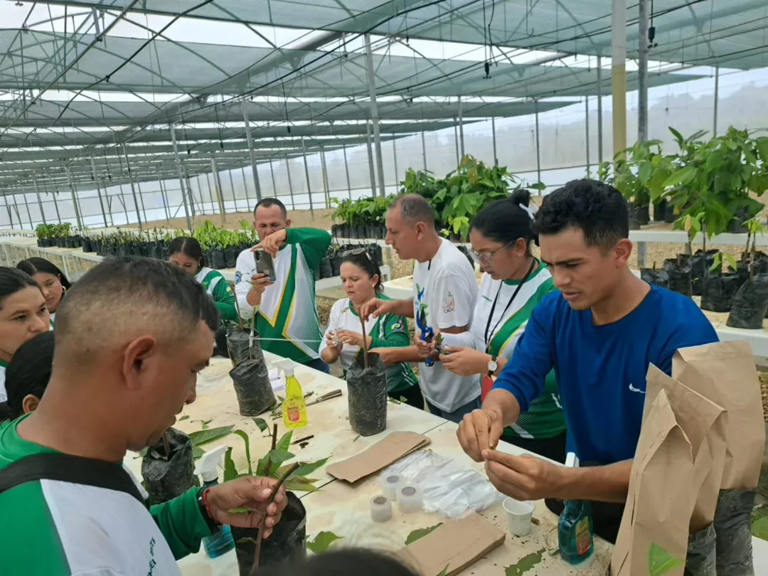 La ACAV capacita a estudiantes de maestría en el manejo científico del cacao