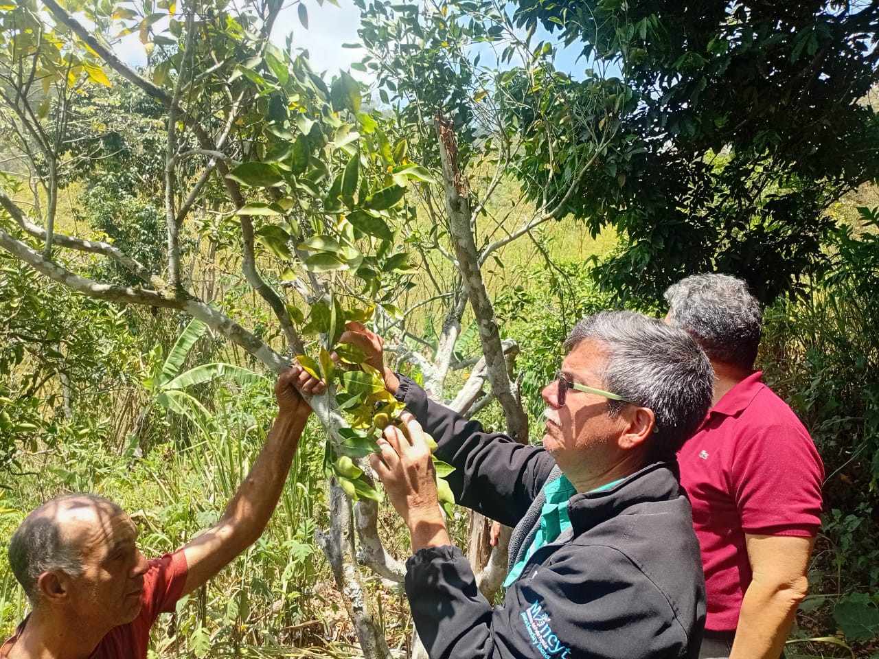 Fundación IDEA brinda acompañamiento técnico a productores rurales del municipio El Hatillo