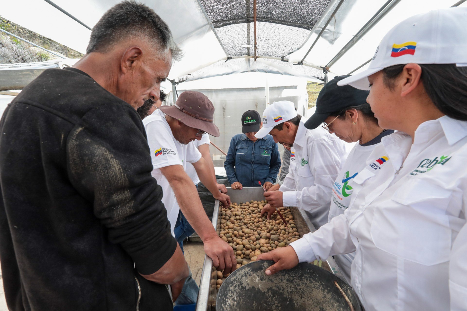 Realizan curso de formación para productores y nuevos semilleristas de papa en el Páramo merideño