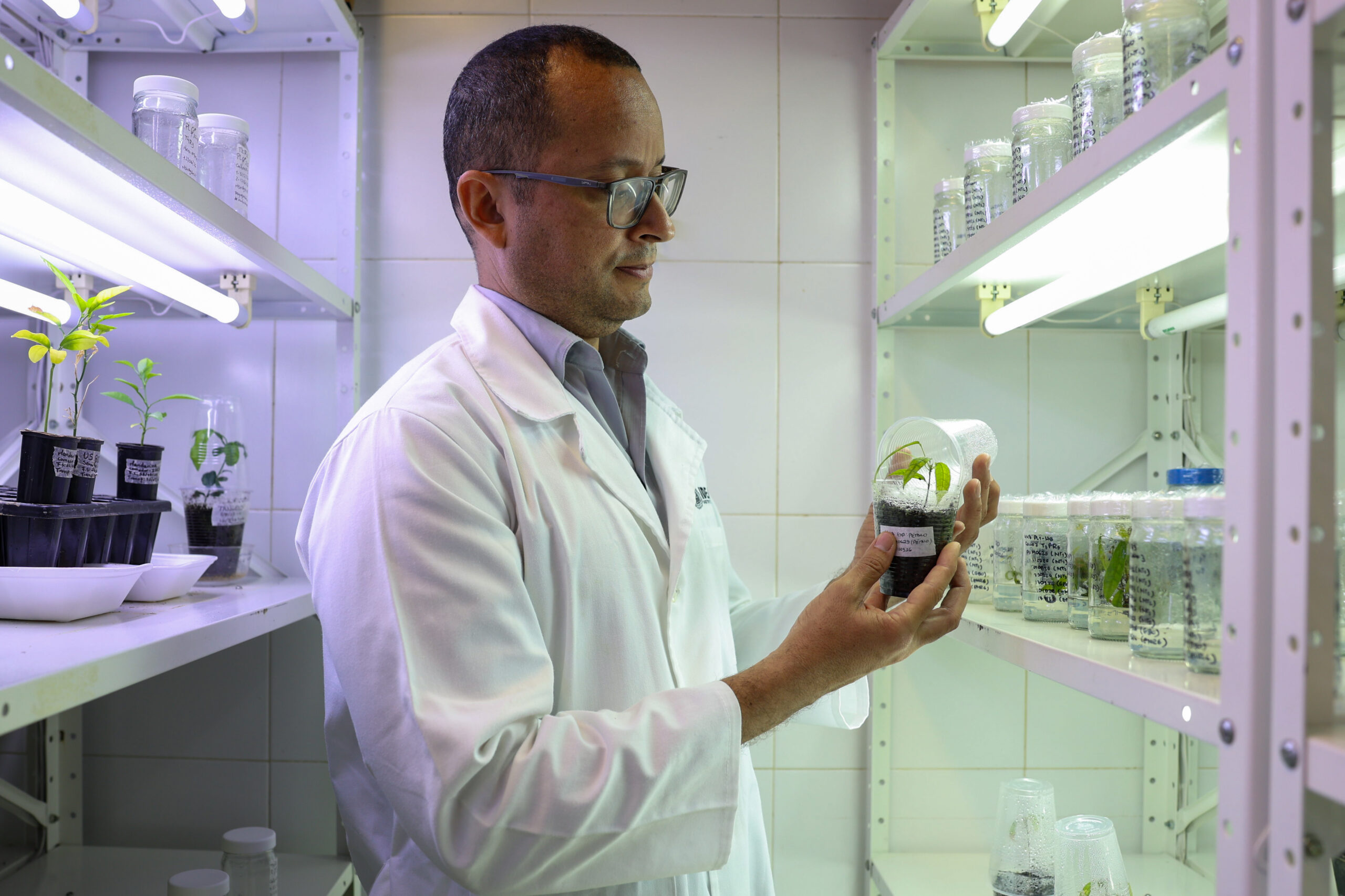 Investigación con entrega y legado científico del Dr. Andy Díaz en la Fundación IDEA