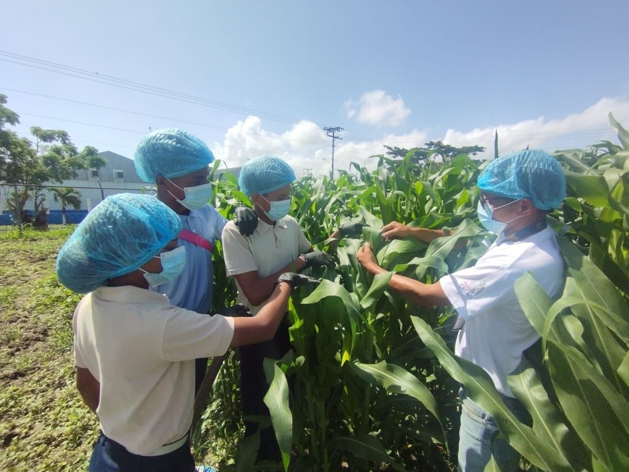 Estudiantes veroenses fortalecieron sus conocimientos científicos y agroecológicos en la Fundación Ciepe