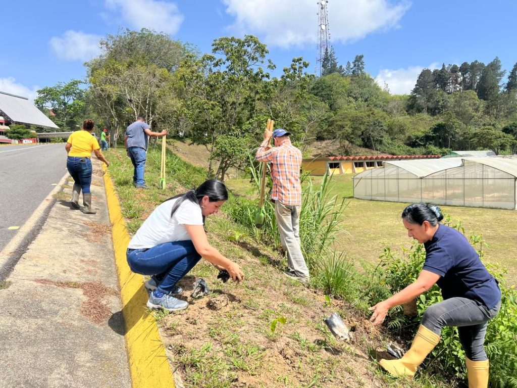 Investigadores del IDEA impulsan la reforestación sostenible con jornada de siembra de café