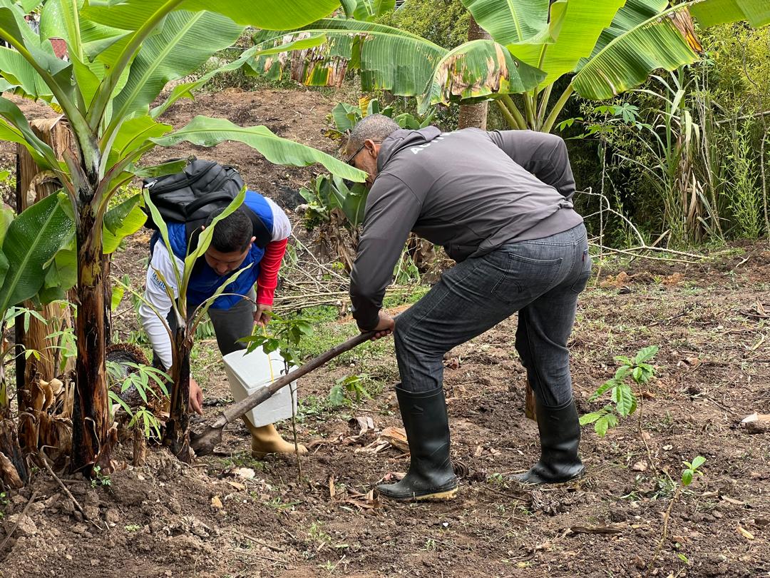 Investigadores de la Fundación IDEA brindaron asesoría técnica a productores de cacao en Baruta