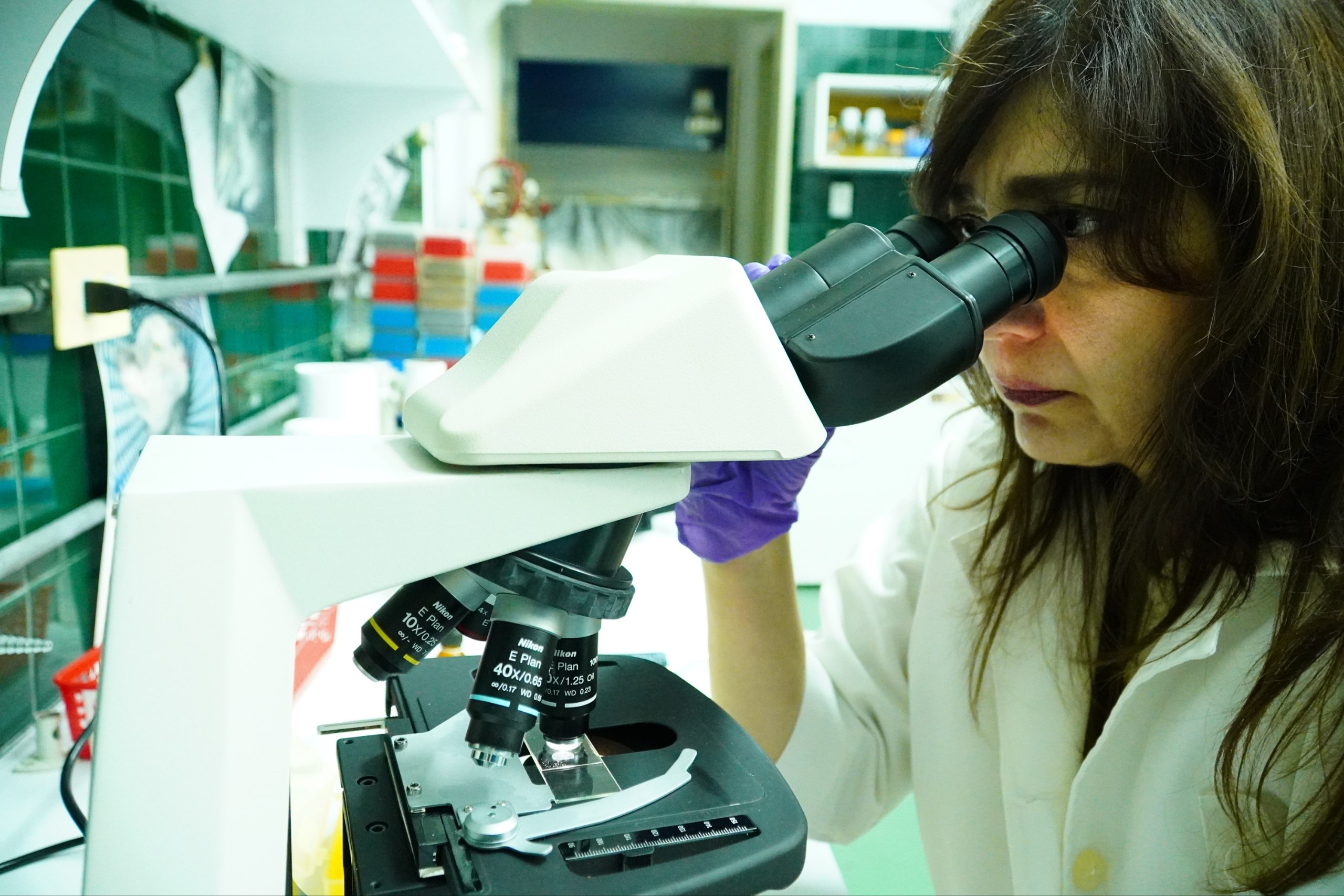 IVIC impulsa ciencia ciudadana para caracterizar el microbioma vaginal en las mujeres