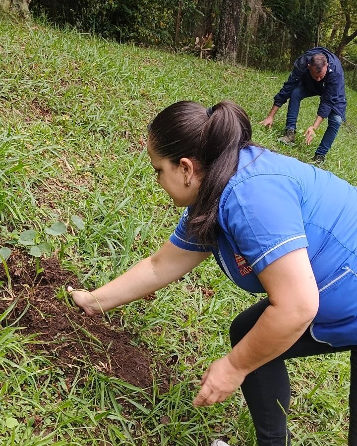 Cidata e Inparques siembran más de 60 plantas en sede científica de Mérida