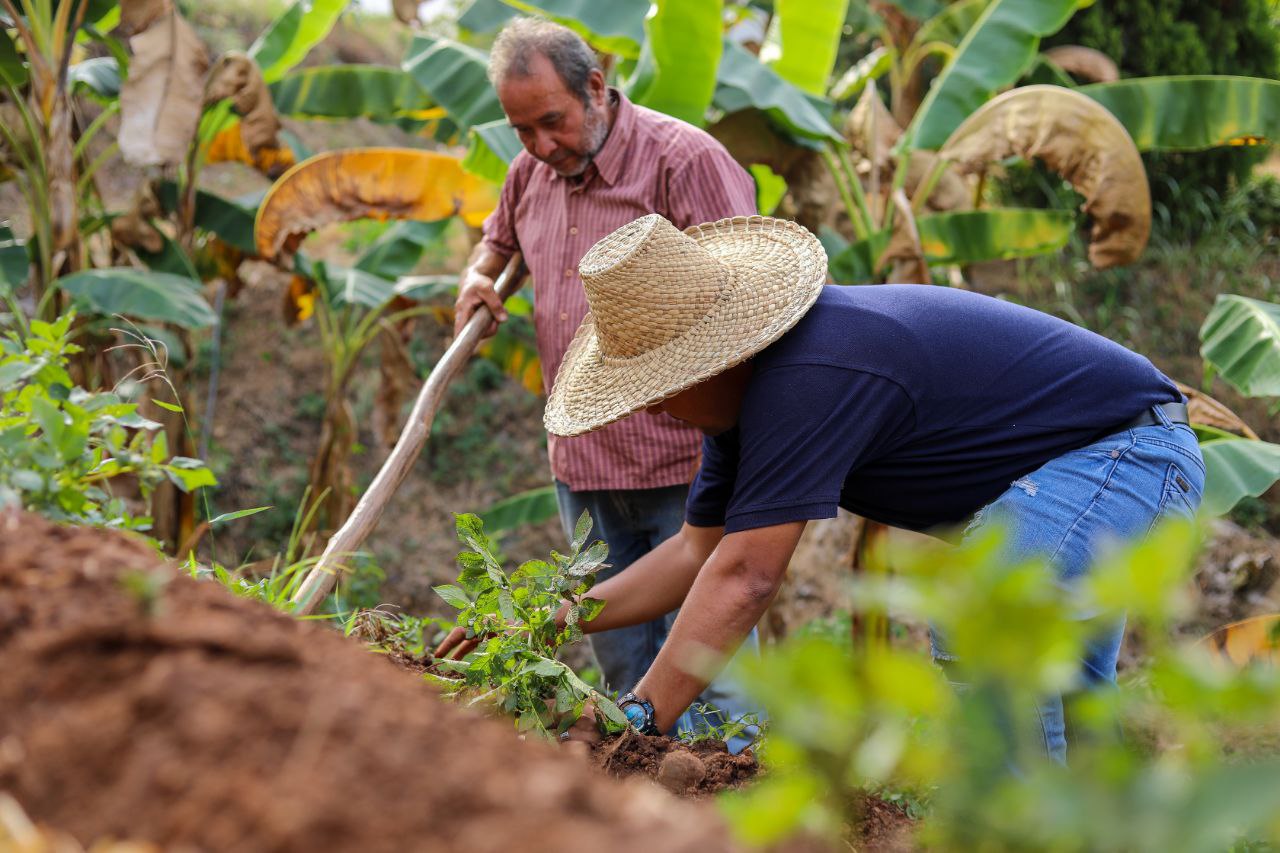 Alianza Científico-Campesina presenta ciclo de talleres formativos virtuales para junio de 2026