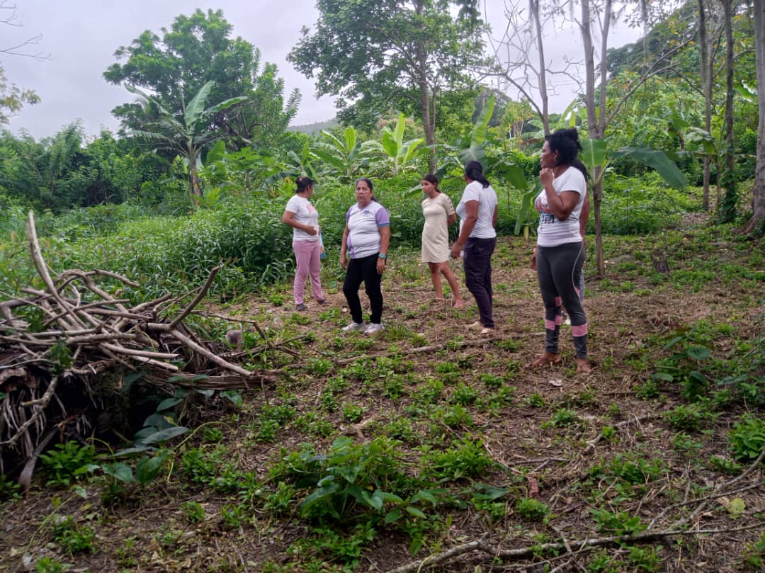 Alianza Científico-Campesina impulsa soberanía alimentaria con taller de siembra en el municipio Arismendi