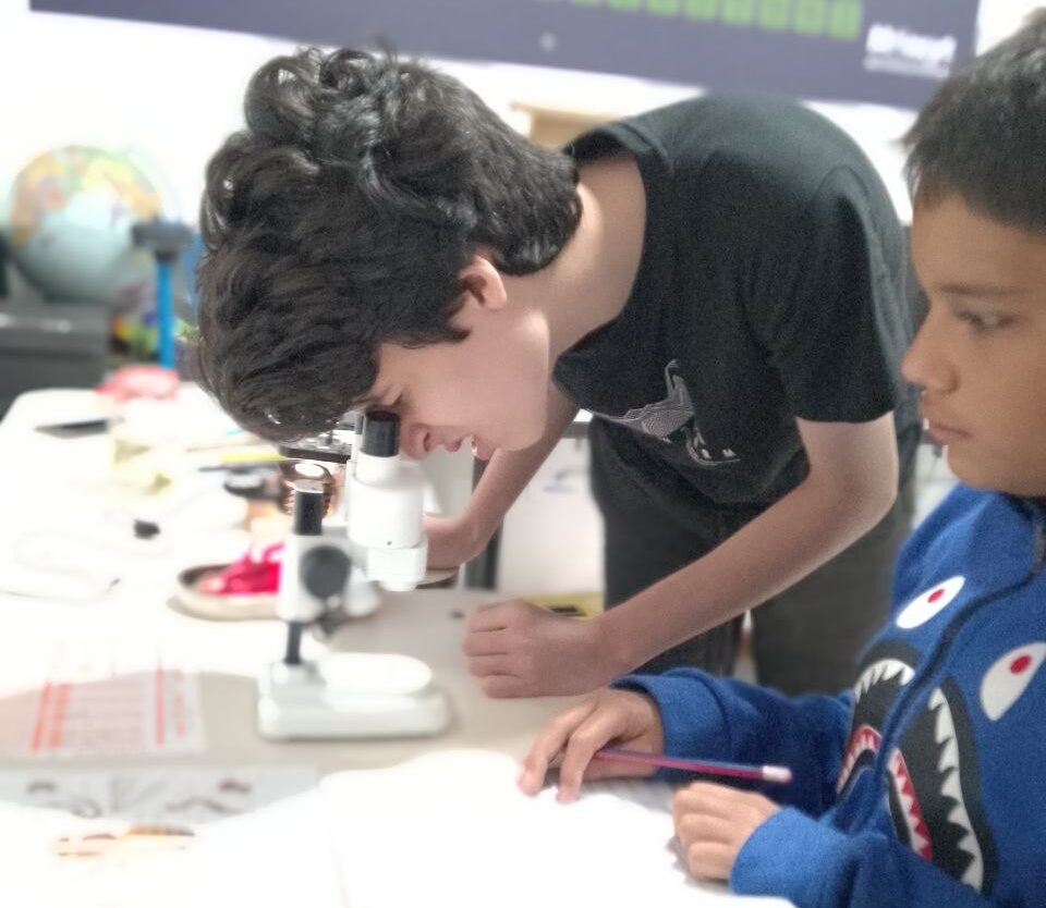 Jóvenes se adentraron en el mundo de la microscopía con taller de biología