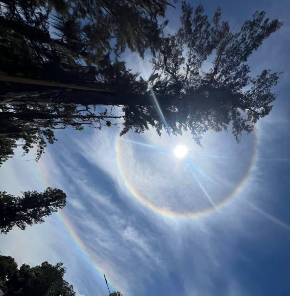 ​El halo solar es un fenómeno óptico inofensivo producido por luz y cristales de hielo