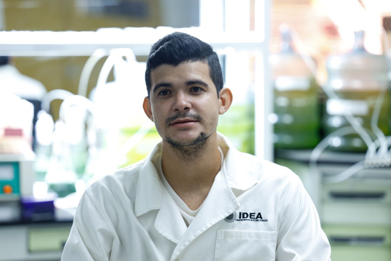 Investigadores del IDEA evalúan cría en cautiverio del calamar de arrecife para repoblar la Bahía de Mochima