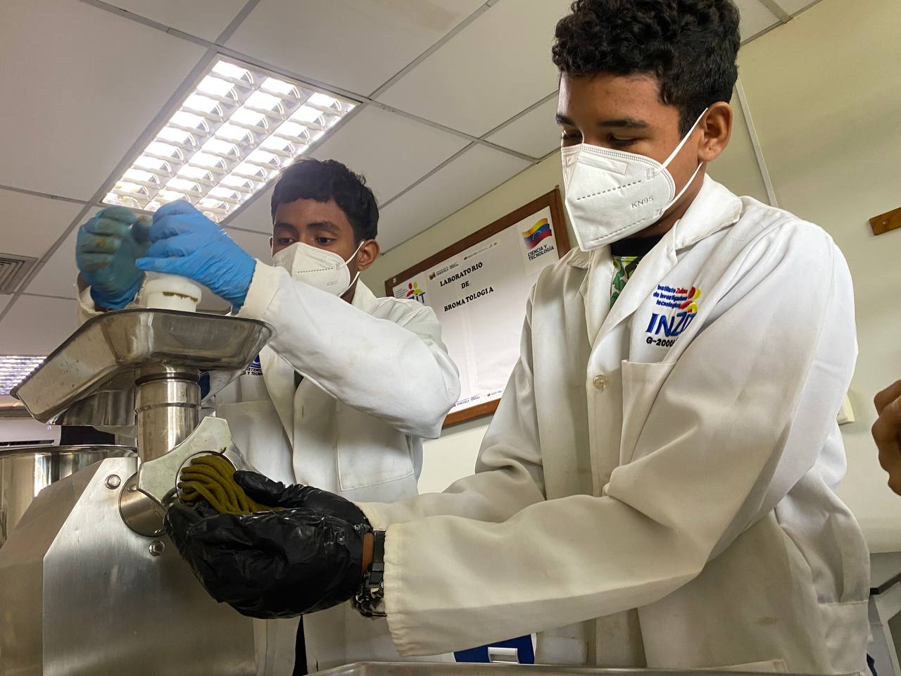 Fundación Inzit impulsa proyecto de alimento alternativo para cerdos en Zulia