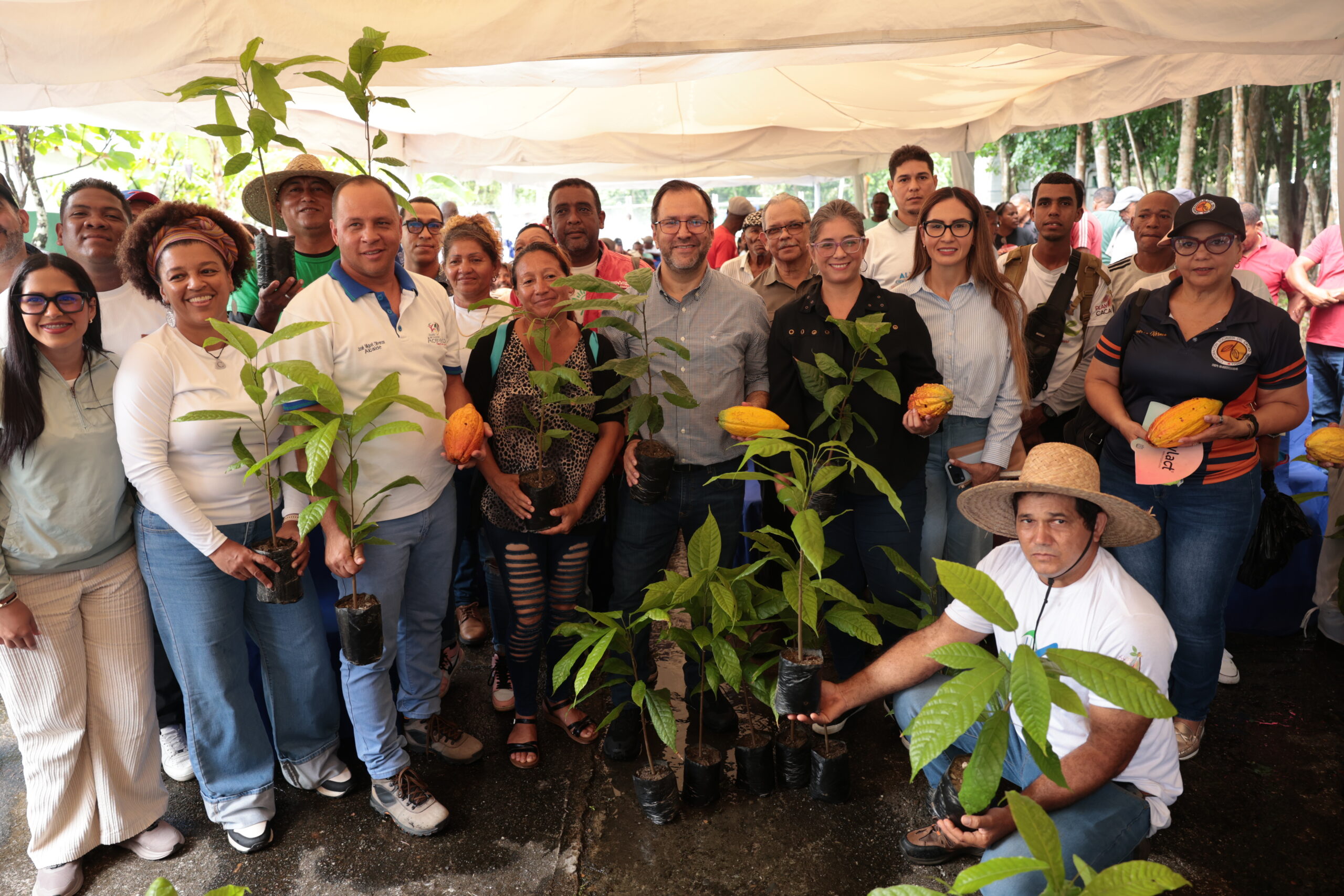Gobierno Bolivariano entregó más de 7.500 plantas de cacao a productoras y productores del estado Miranda