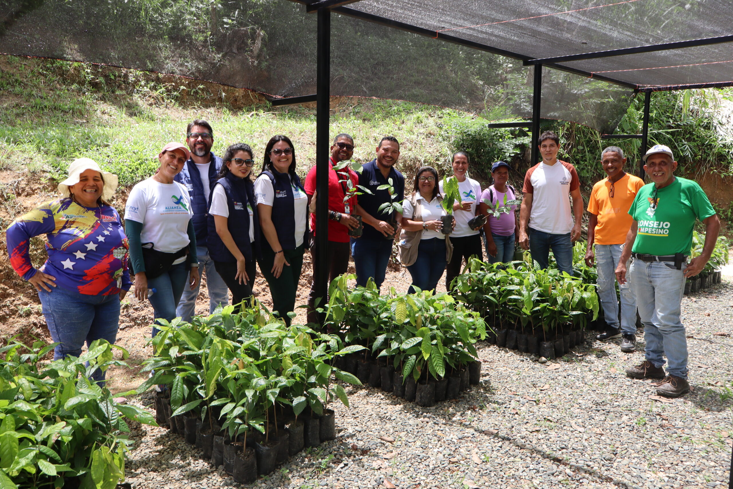 Cenidic y delegación de la FAO inspeccionan vivero de cacao en El Guapo