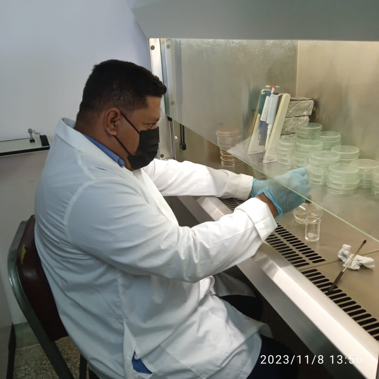 Fundación INZIT desarrollan bioinsumo a base de Trichoderma SP. para impulsar agroecología