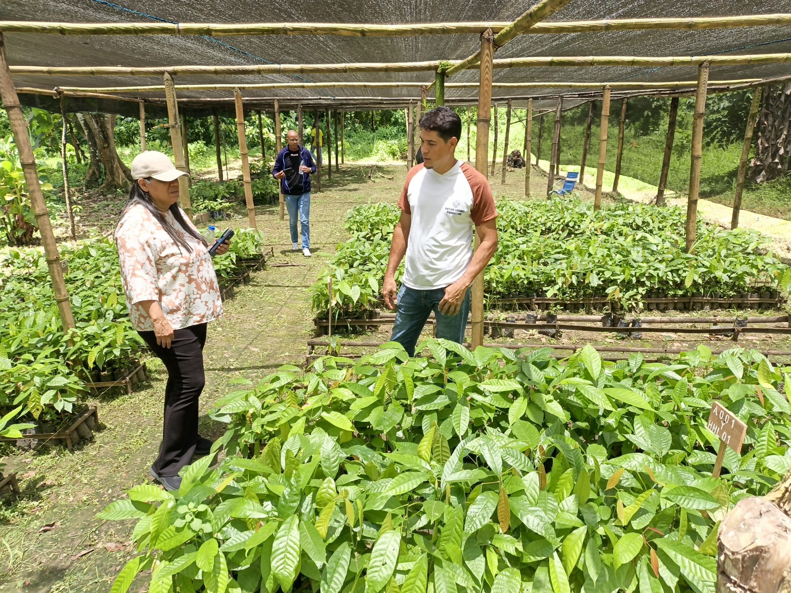 Cenidic entregó 5 mil bolsas para viveros de cacao en El Guapo