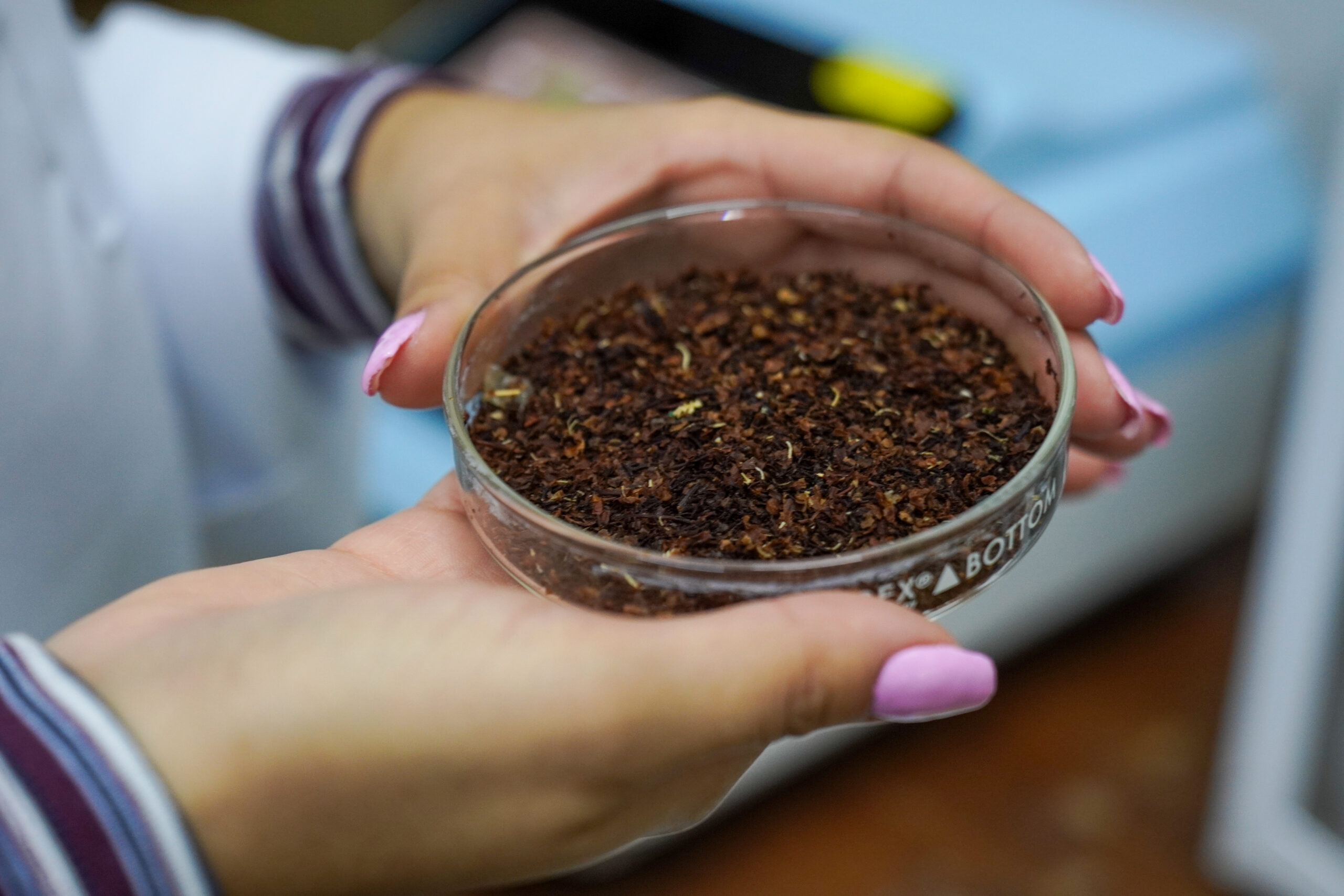 IVIC desarrolla fuentes de proteína alternativa a partir de macroalgas