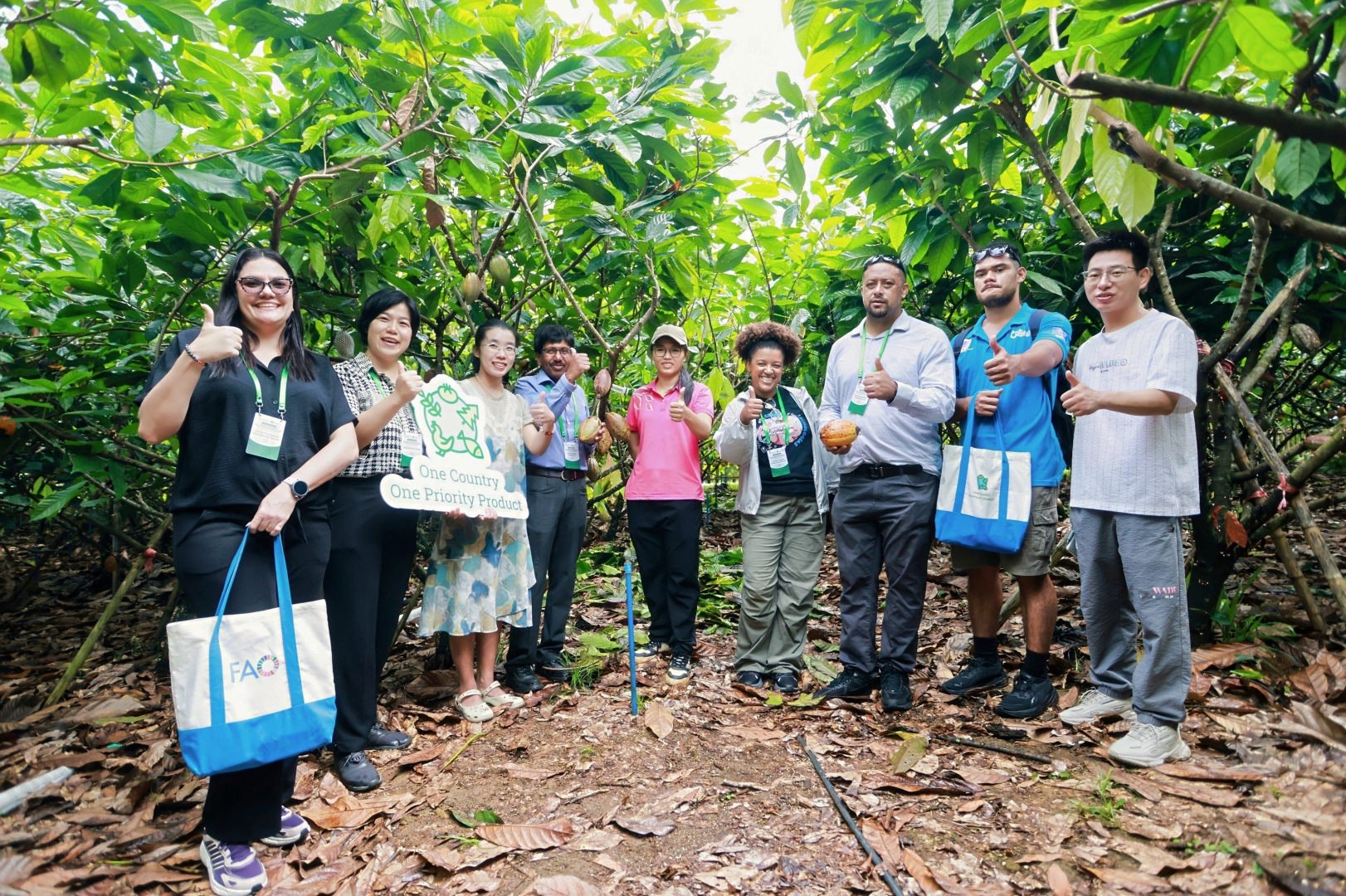 Delegación venezolana en China consolida avances para la producción de cacao fino de aroma