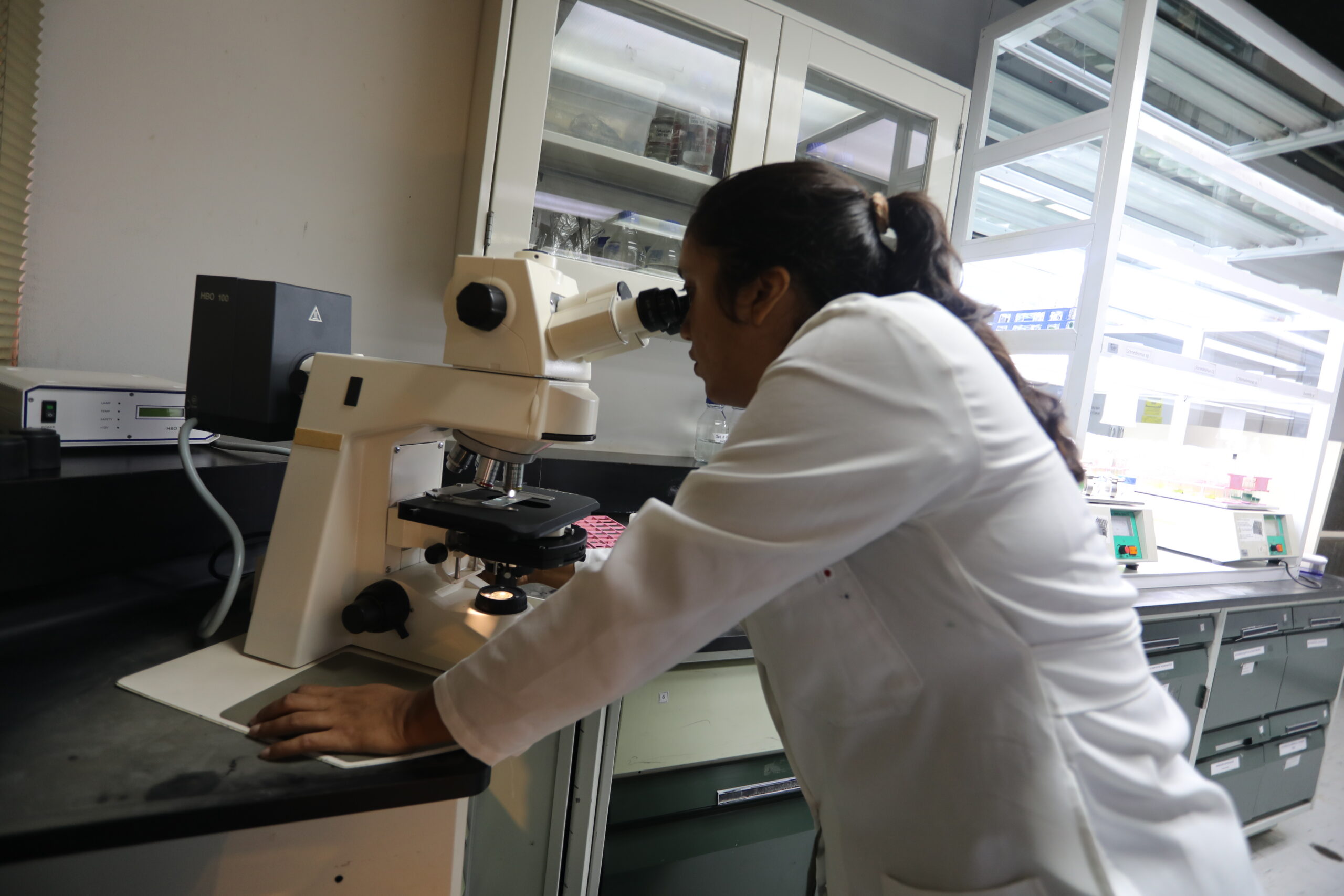 Fundación IDEA investiga potencial farmacológico de ficobiliproteínas de cianobacterias y macroalgas​
