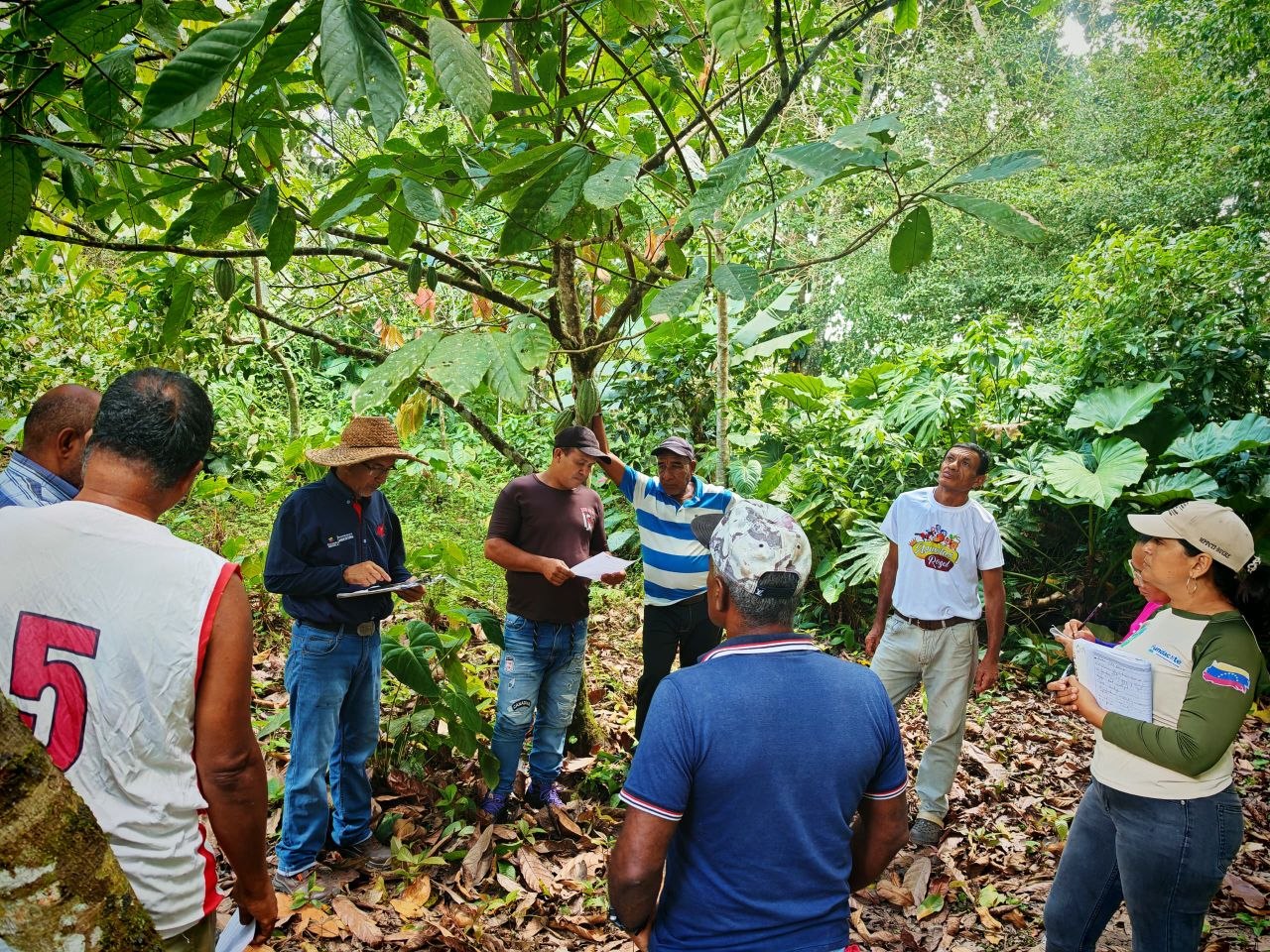 Alianza Científico-Campesina capacita a productores en el manejo fitosanitario del cacao en Sucre