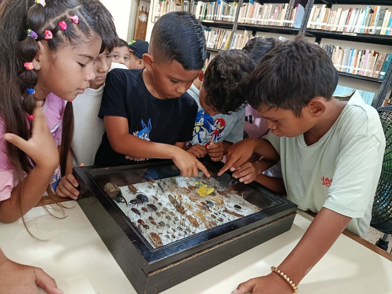 Fundacite Nueva Esparta impulsó taller de robótica y biología marina a 36 jóvenes en Península de Macanao