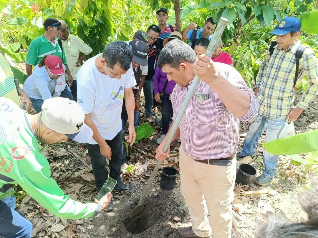 ACAV realiza jornada práctica sobre buenas prácticas agrícolas para el cultivo de cacao en Barinas